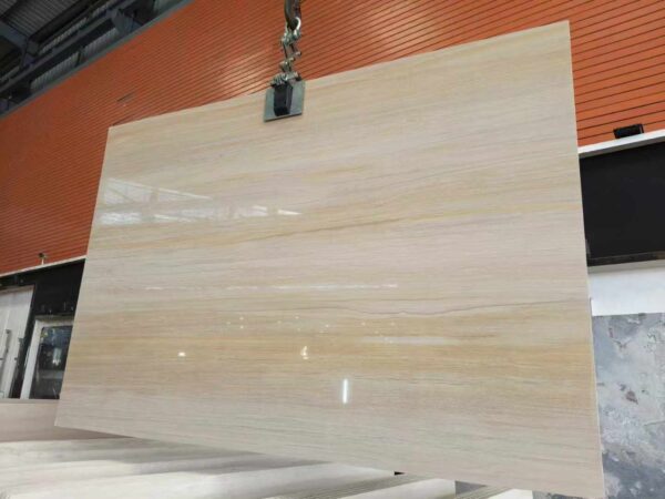 Terra Linea - Image 2